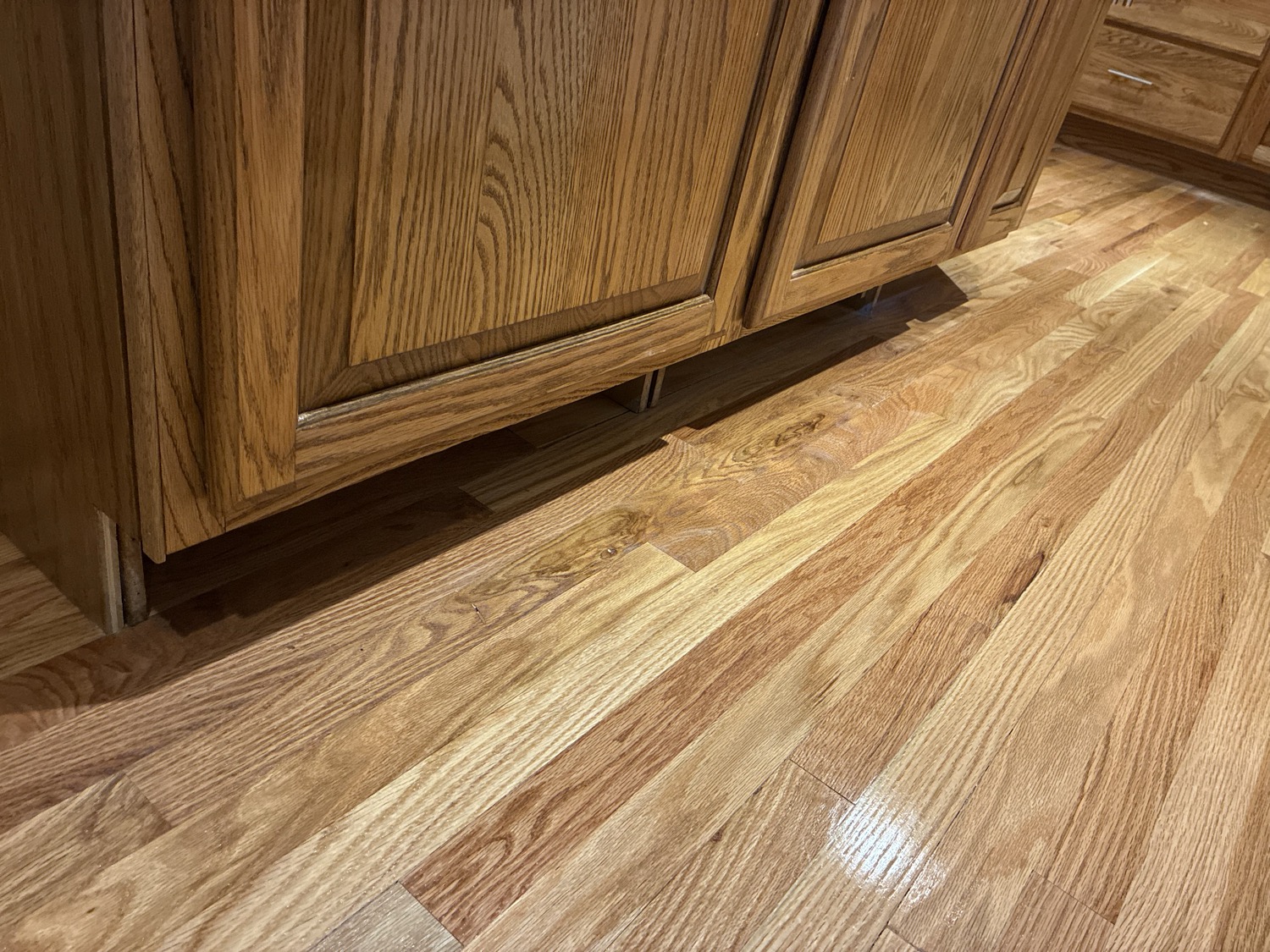 Flooring and Cabinets